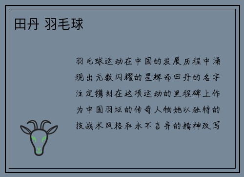 田丹 羽毛球